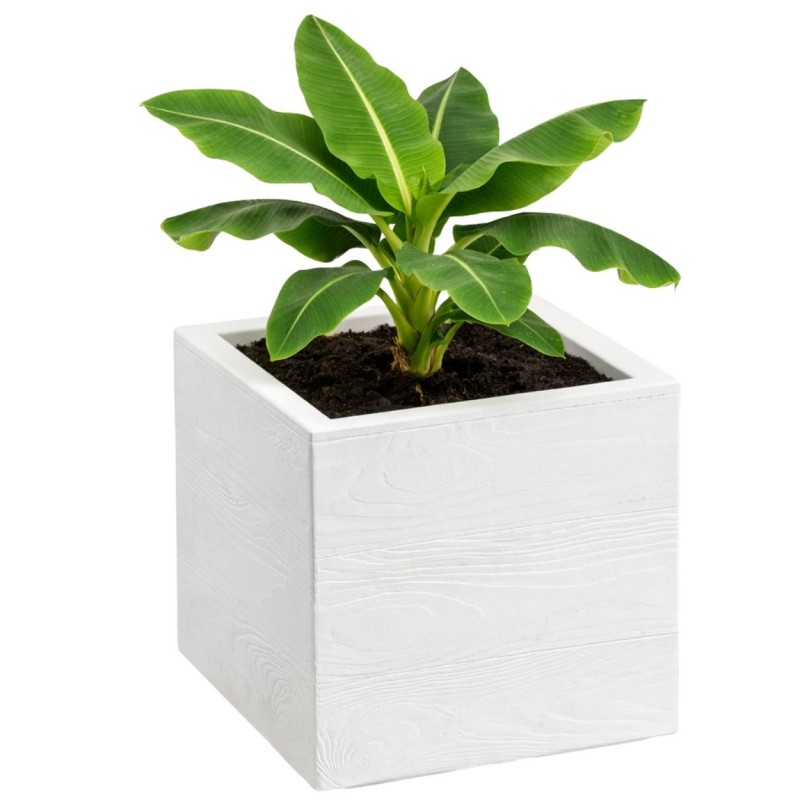 HowHomely Donica Betonique na kółkach deska recykling kremowy 30x30xh30 cm
