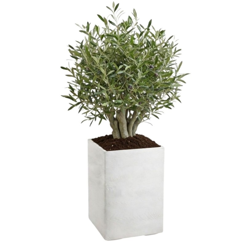 HowHomely Donica Betonique na kółkach deska recykling kremowy H60x40 cm