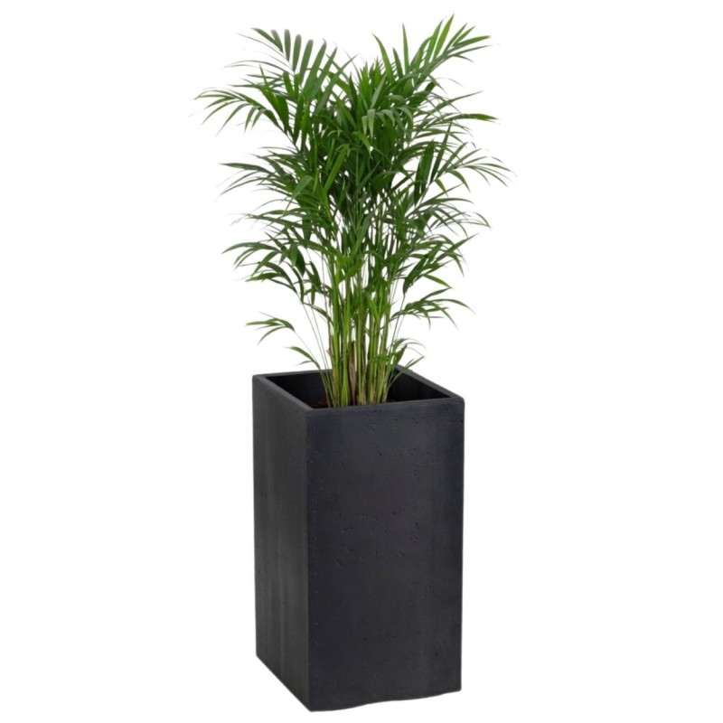 HowHomely Donica Betonique na kółkach recykling czarny 30x30xh60 cm