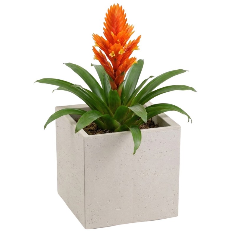 HowHomely Donica Betonique na kółkach beton recykling beż 30x30xh30 cm