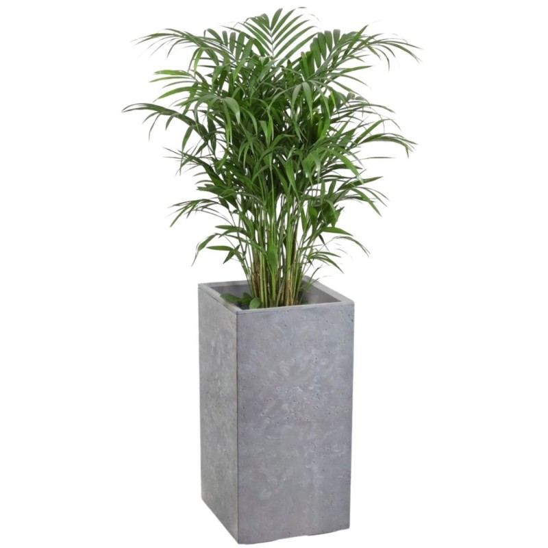 HowHomely Donica Betonique na kółkach szary beton 30x30xh60 cm
