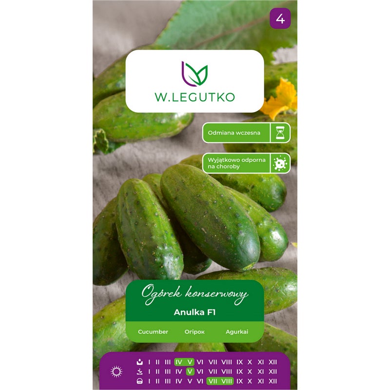 Ogórek gruntowy konserwowy Anulka F1 nasiona warzyw W.Legutko