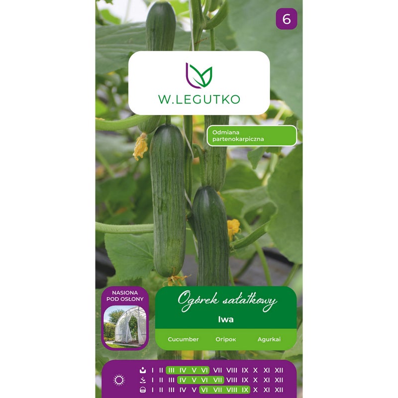 Ogórek szklarniowy sałatkowy Iwa nasiona warzyw W.Legutko