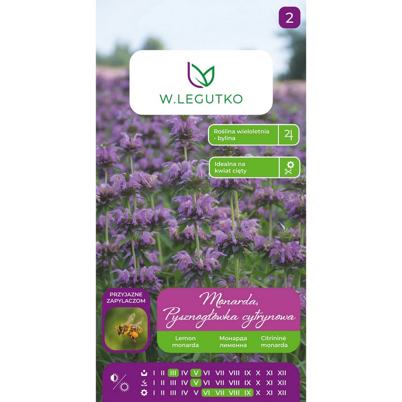 Monarda Pysznogłówka cytrynowa nasiona kwiatów W.Legutko