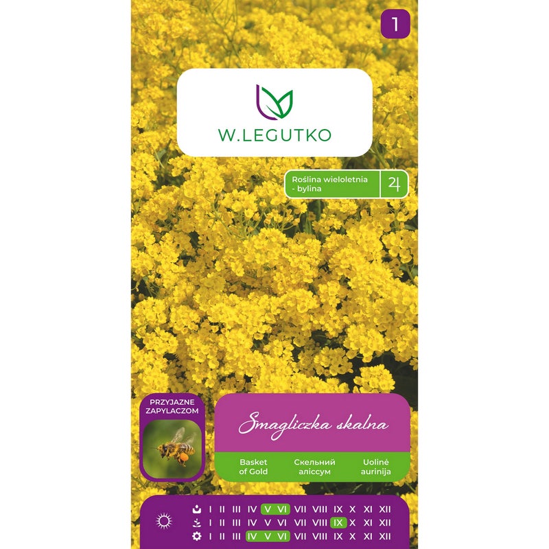 Smagliczka skalna Alyssum saxatile nasiona kwiatów W.Legutko