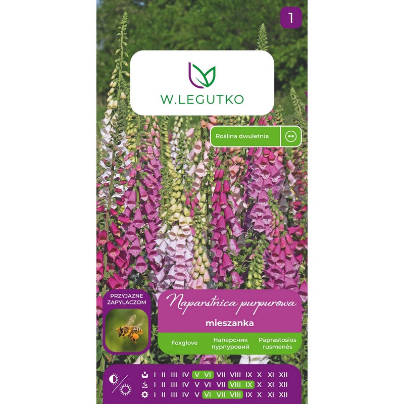 Naparstnica purpurowa Digitalis purpurea mieszanka nasiona kwiatów W.Legutko