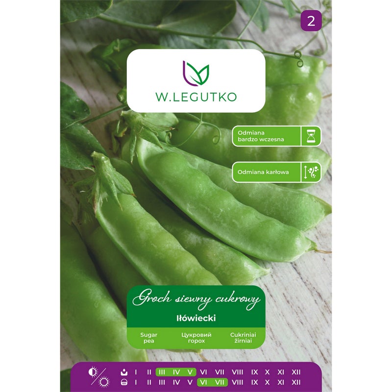 Groszek cukrowy Iłówiecki nasiona warzyw W.Legutko