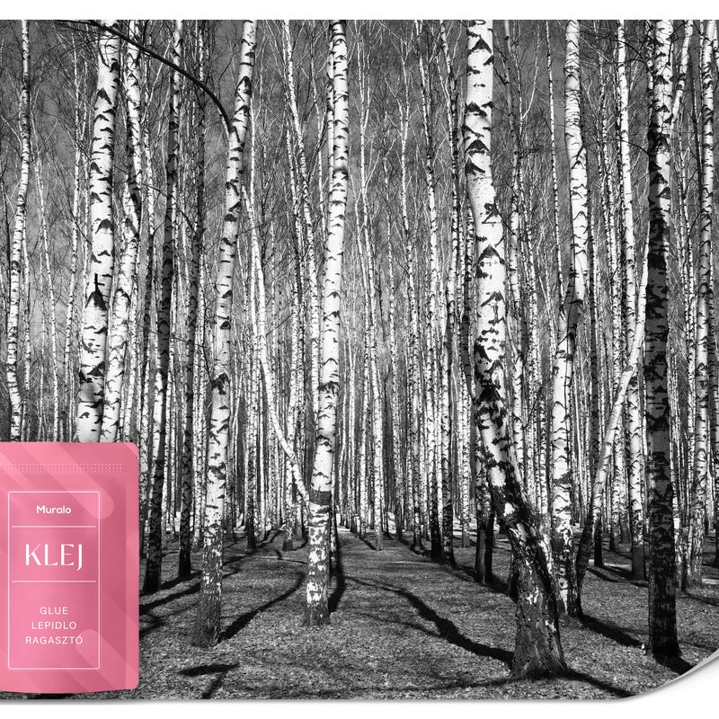 FOTOTAPETA DO SYPIALNI SALONU CZARNO-BIAŁY PEJZAŻ LAS WE MGLE 3D 300x210