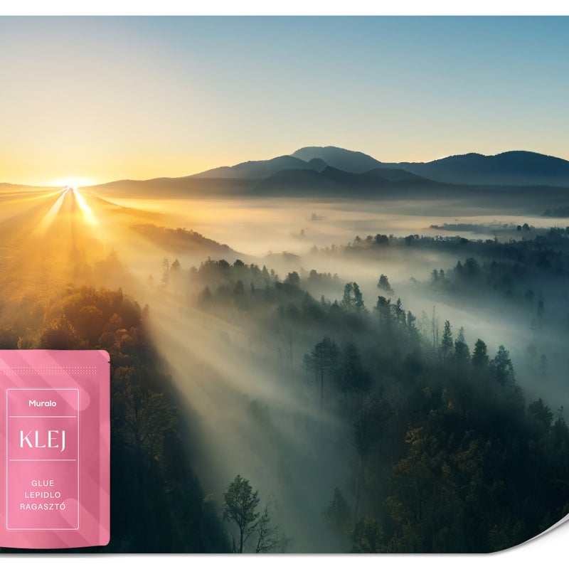 FOTOTAPETA DO SALONU GÓRY LAS WE MGLE WSCHÓD SŁOŃA PEJZAŻ EFEKT 3D 150x105