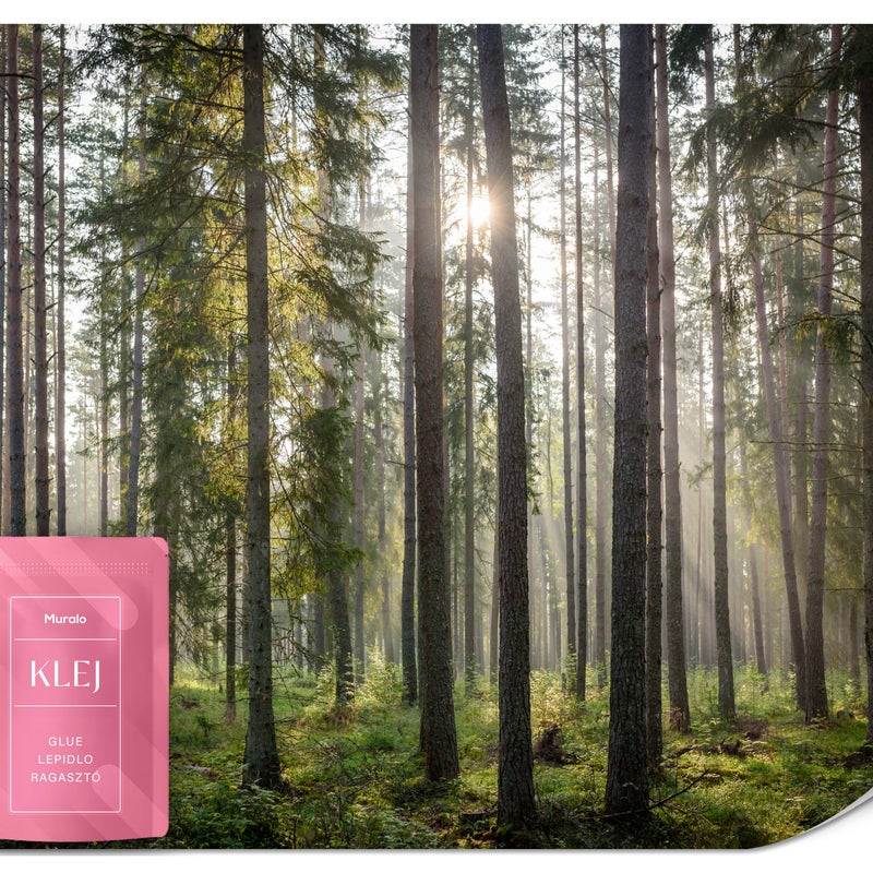 FOTOTAPETA DO SYPIALNI SALONU POLE LAWENDY KWIATY ZACHÓD SŁOŃCA 100x70