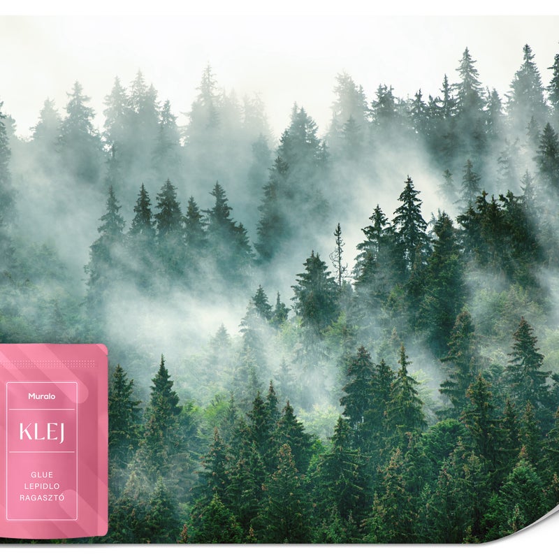 FOTOTAPETA DO SYPIALNI PEJZAŻ LAS WE MGLE NATURA DRZEWA EFEKT 3D 300x210