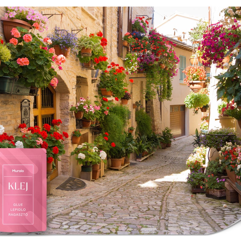 FOTOTAPETA DO SALONU JADALNI WŁOSKA ULICZKA NATURA ROŚLINY KWIATY 400x280