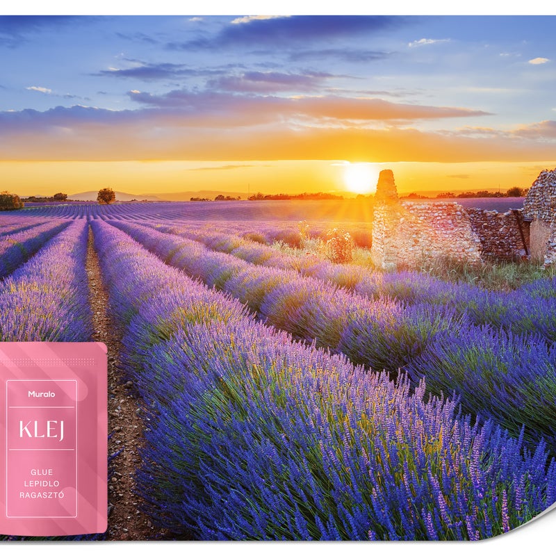 FOTOTAPETA DO SYPIALNI SALONU POLE LAWENDY KWIATY ZACHÓD SŁOŃCA 350x256