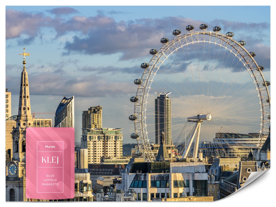 FOTOTAPETA DO SALONU BIURA LONDON EYE MIASTO LONDYN PANORAMA 3D 350x256