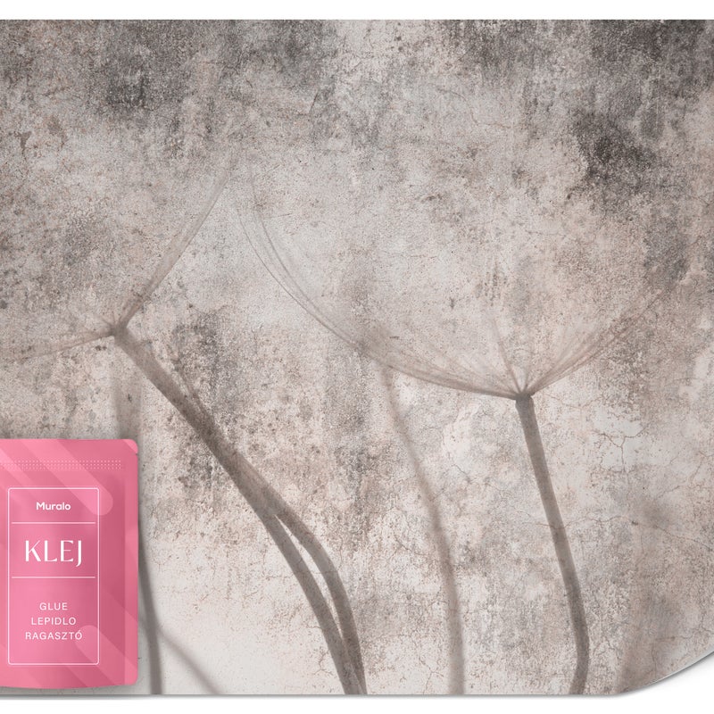 FOTOTAPETA DO SYPIALNI KWIATY DMUCHAWCE ABSTRAKCJA BETON MURAL 450x315