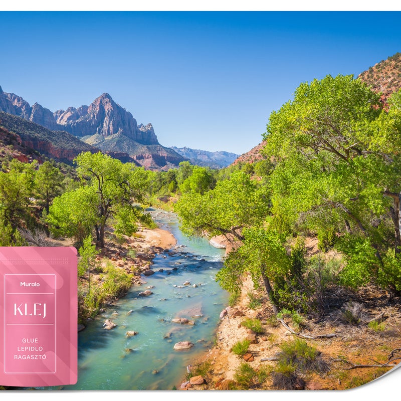 FOTOTAPETA DO SALONU SYPIALNI PEJZAŻ RZEKA NATURA GÓRY USA EFEKT 3D 450x315