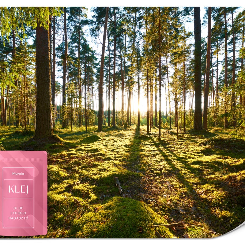 FOTOTAPETA LAS EFEKT 3D DRZEWA KRAJOBRAZ TAPETA DO SALONU SYPIALNI 450x315