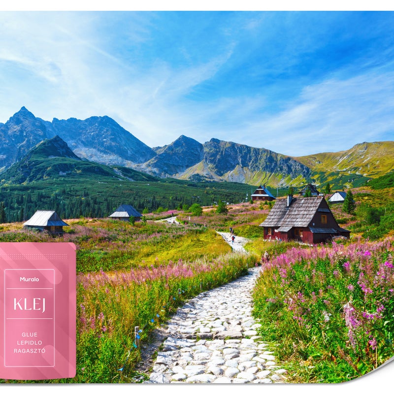 FOTOTAPETA DO SYPIALNI ŚCIEŻKA GÓRY HALA GĄSIENICOWA KRAJOBRAZ 3D 100x70