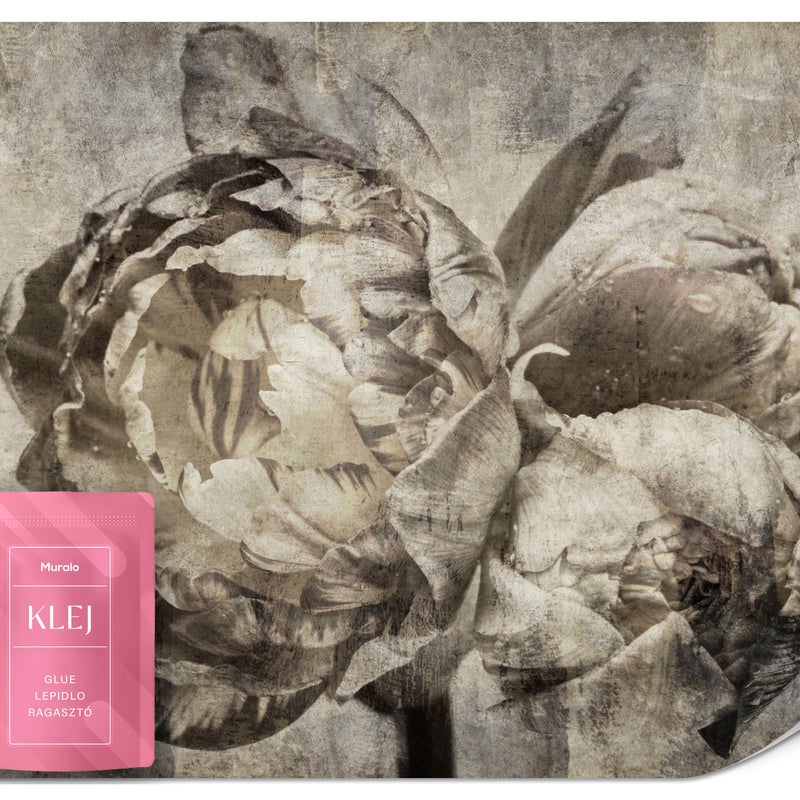 FOTOTAPETA DO SYPIALNI SALONU ABSTRAKCJA KWIATY PIWONIE STYL RETRO 300x210