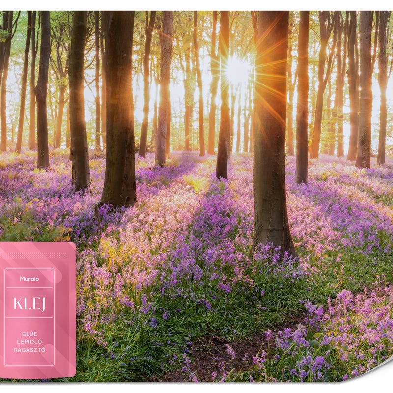 FOTOTAPETA DO SYPIALNI SALONU WSCHÓD SŁOŃCA LAS KWIATY NATURA 3D 250x175