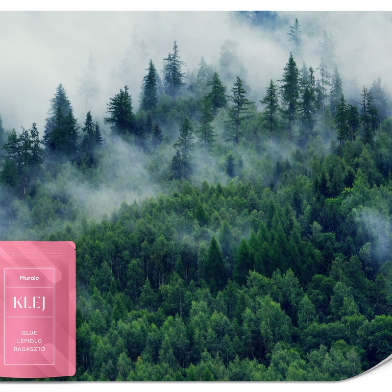 FOTOTAPETA DO SYPIALNI SALONU LAS GÓRY MGŁA KRAJOBRAZ 3D NATURA 350x256