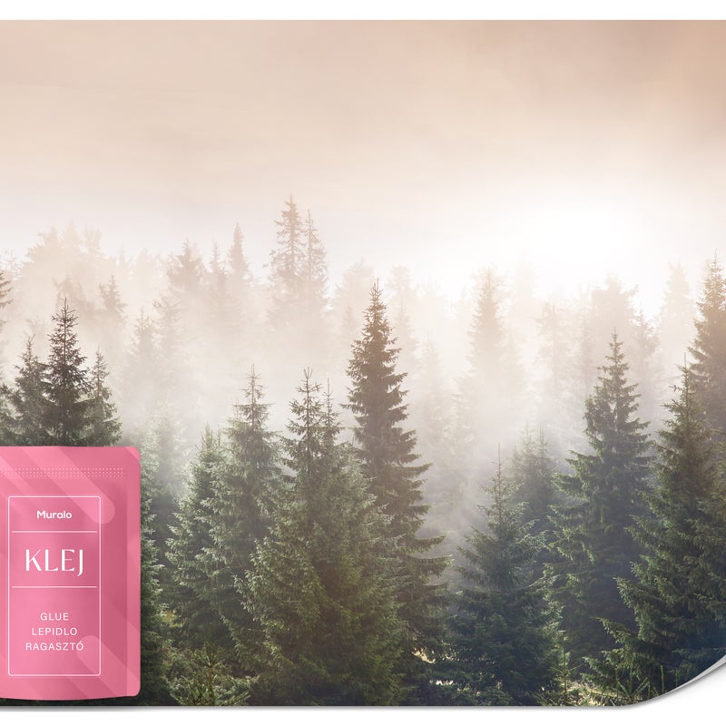 FOTOTAPETA DO SALONU SYPIALNI LAS WE MGLE WSCHÓD SŁOŃCA PEJZAŻ 3D 350x256