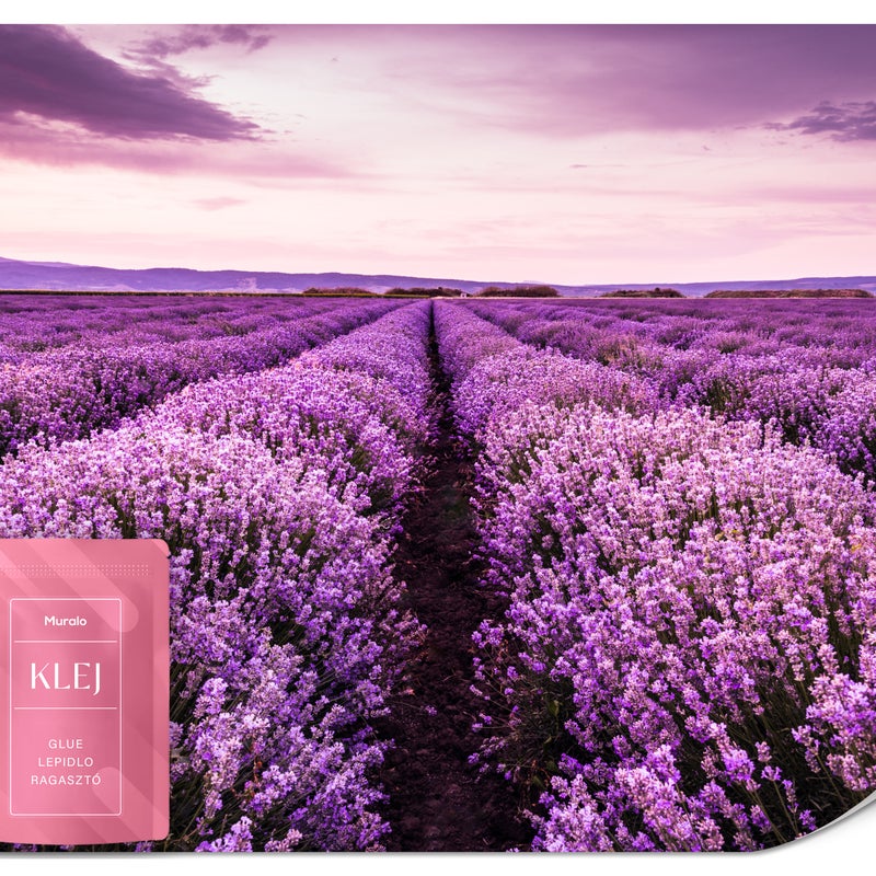 FOTOTAPETA DO SYPIALNI SALONU KWIATY LAWENDA POLE NATURA PEJZAŻ 3D 100x70