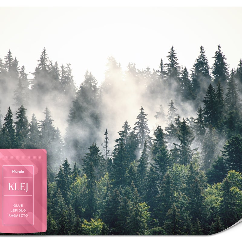 FOTOTAPETA DO SALONU NATURA LAS WE MGLE GÓRY KRAJOBRAZ EFEKT 3D 450x315