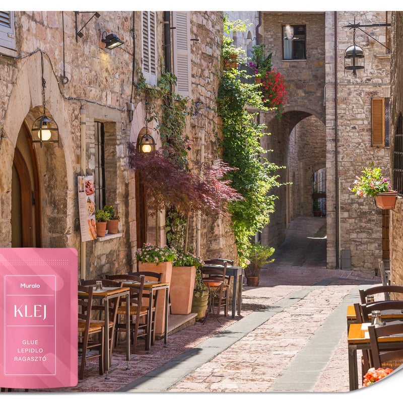 FOTOTAPETA DO SALONU SYPIALNI WŁOSKA ULICZKA KWIATY NATURA ROŚLINY 250x175