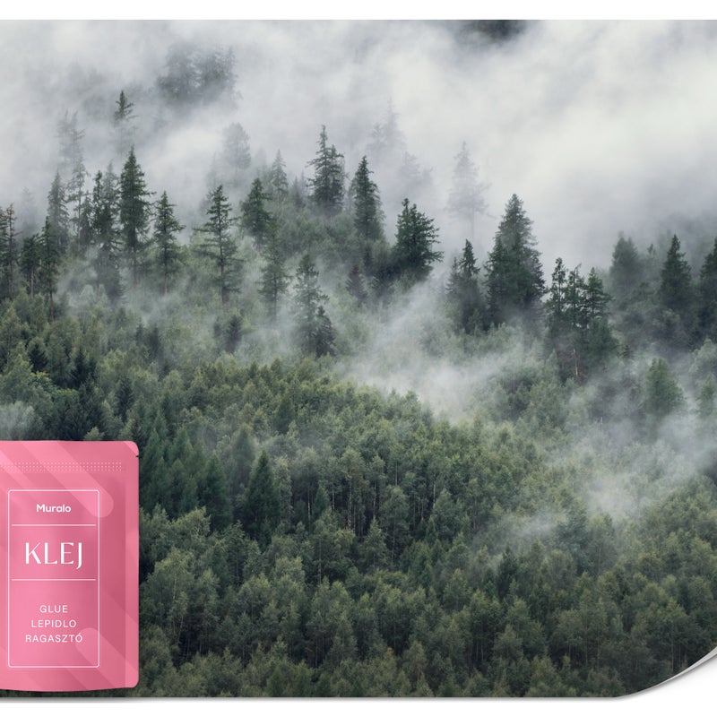 FOTOTAPETA DO SALONU LAS WE MGLE GÓRY TAPETA NA ŚCIANĘ DO SYPIALNI 350x256