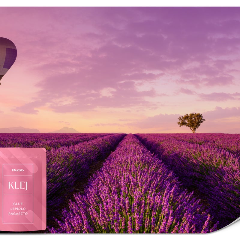 FOTOTAPETA DO SYPIALNI SALONU POLE LAWENDY KWIATY PEJZAŻ BALON 3D 400x280