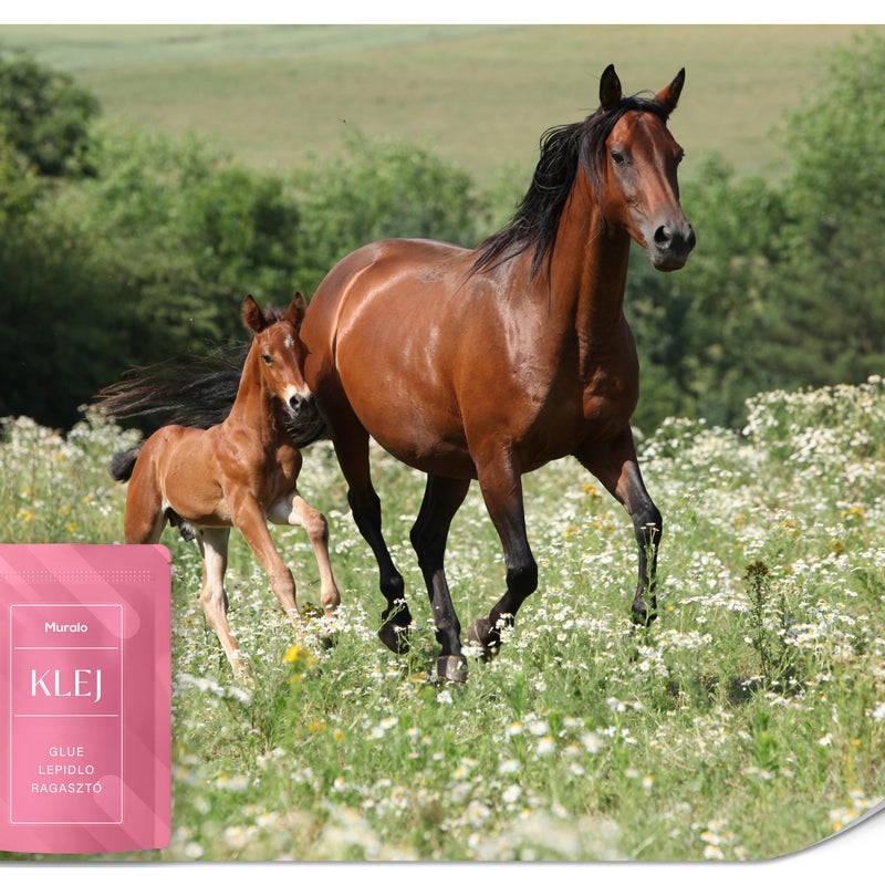 FOTOTAPETA DO SALONU BIURA KONIE POLANA ŁĄKA NATURA PEJZAŻ EFEKT 3D 450x315