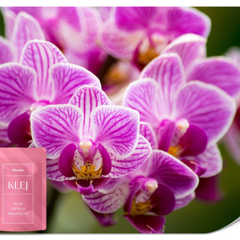 FOTOTAPETA DO SALONU RÓŻOWE STORCZYKI ORCHIDEA KWIATY NATURA 3D 250x175