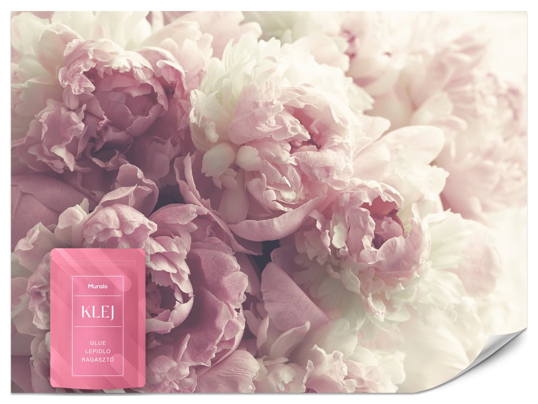 FOTOTAPETA DO SYPIALNI SALONU KWIATY PIWONIE PEONIE NATURA BOHO 350x256
