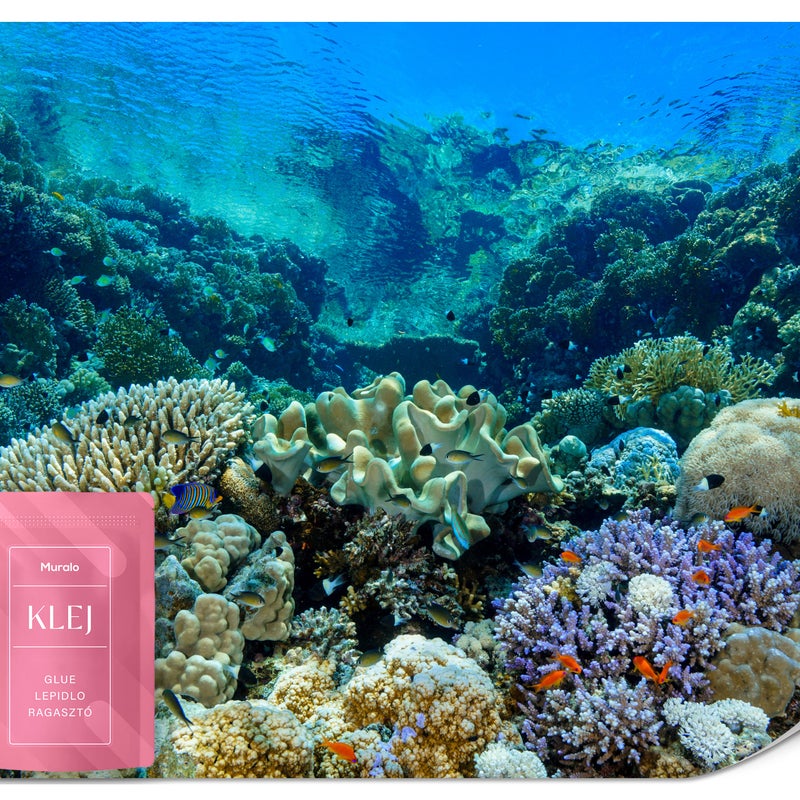 FOTOTAPETA DLA DZIECI RAFA KORALOWA OCEAN RYBY MORZE TAPETA ŚCIENNA 500x350