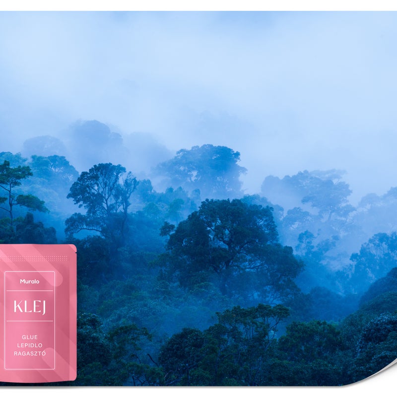 FOTOTAPETA DO SALONU LAS WE MGLE KRAJOBRAZ DRZEWA NATURA EFEKT 3D 100x70