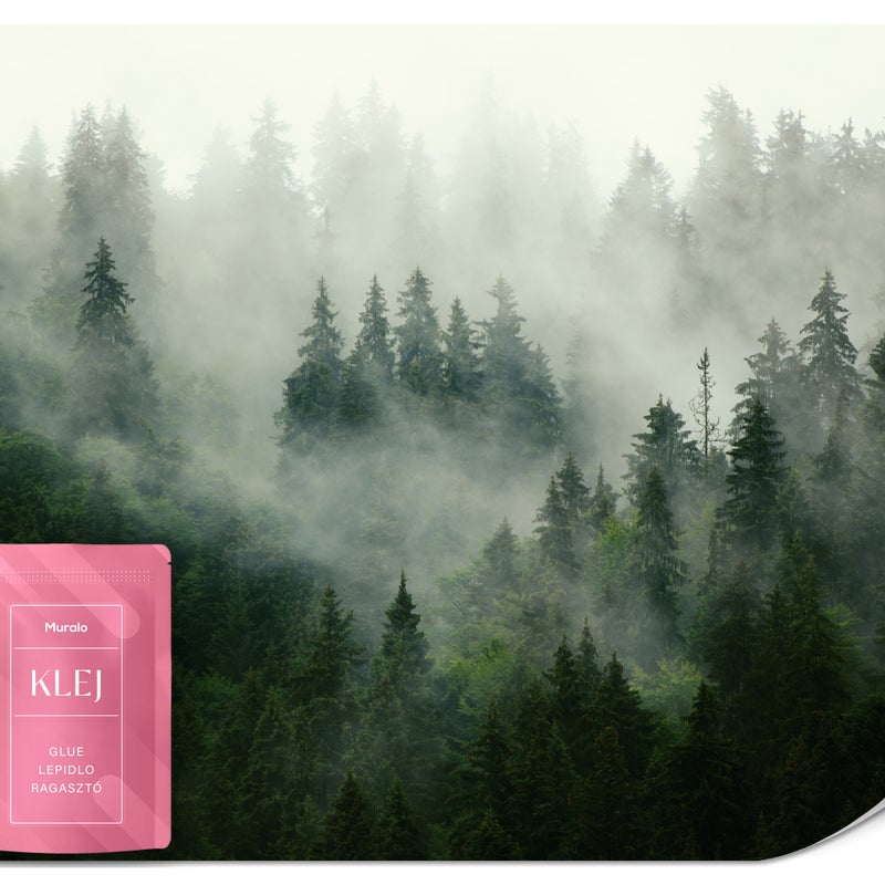 FOTOTAPETA DO SALONU SYPIALNI LAS WE MGLE KRAJOBRAZ NATURA EFEKT 3D 150x105