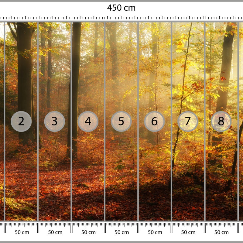 FOTOTAPETA DO SALONU JADALNI JESIENNY LAS ZACHÓD SŁOŃCA PEJZAŻ 3D 450x315
