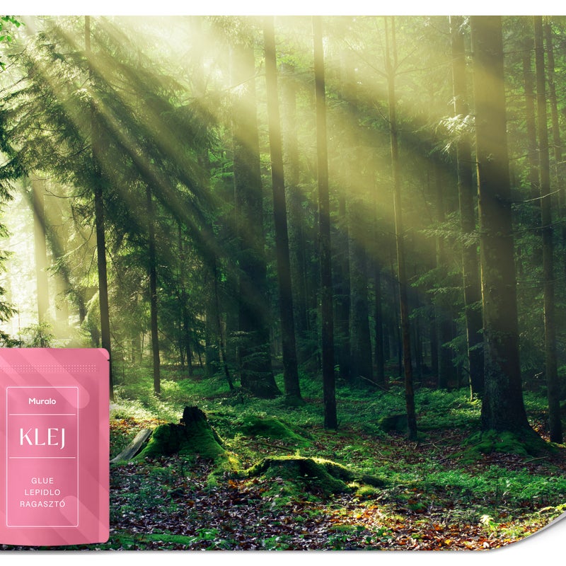 FOTOTAPETA DO SALONU JADALNI LAS NATURA WSCHÓD SŁOŃCA KRAJOBRAZ 3D 100x70