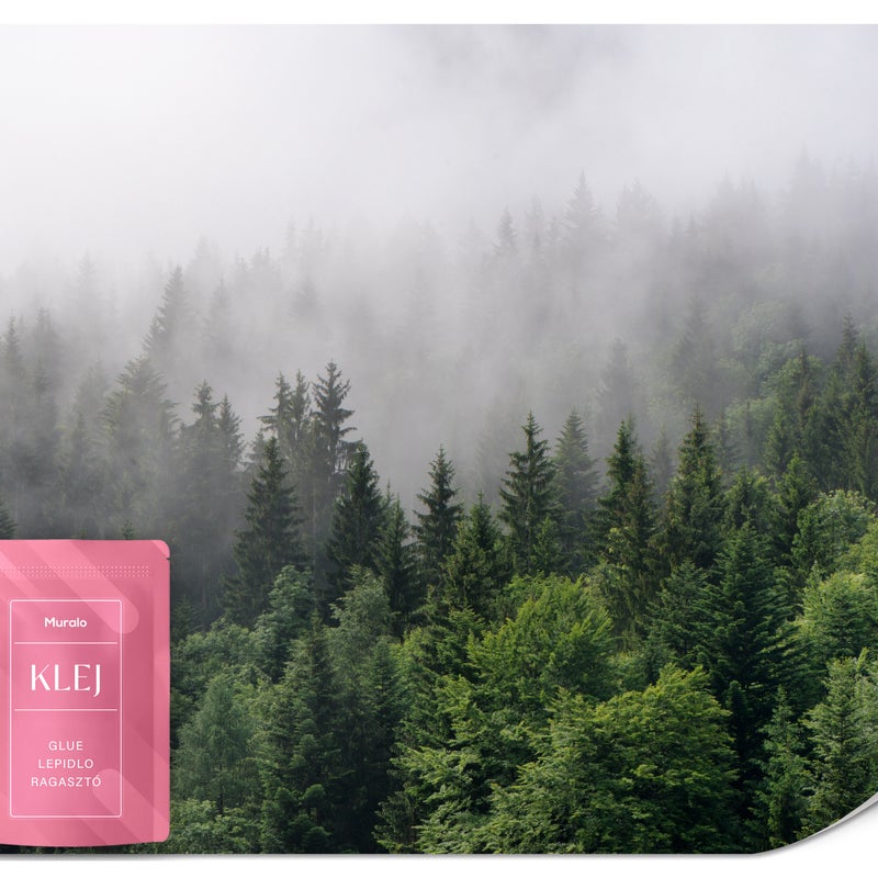 FOTOTAPETA DO SYPIALNI SALONU LAS WE MGLE PEJZAŻ DRZEWA NATURA 3D 300x210