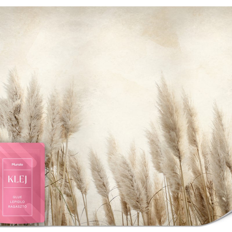 FOTOTAPETA DO SALONU SYPIALNI TRAWY KŁOSY ZBOŻE NATURA BOHO ROŚLINY 100x70