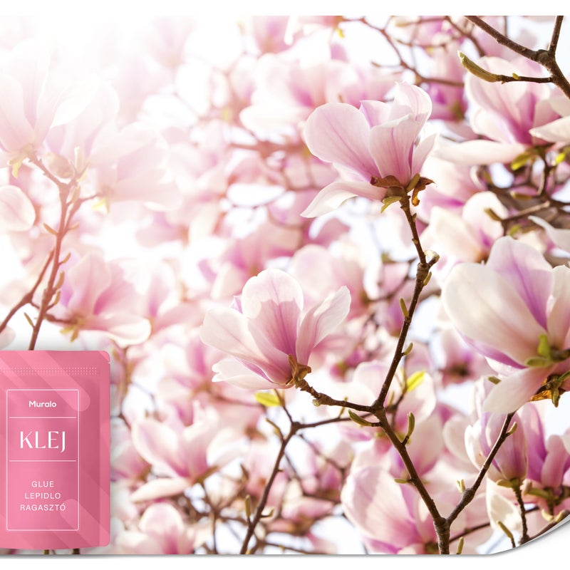 FOTOTAPETA DO SYPIALNI SALONU RÓŻOWE MAGNOLIE KWIATY NATURA WZÓR 3D 100x70