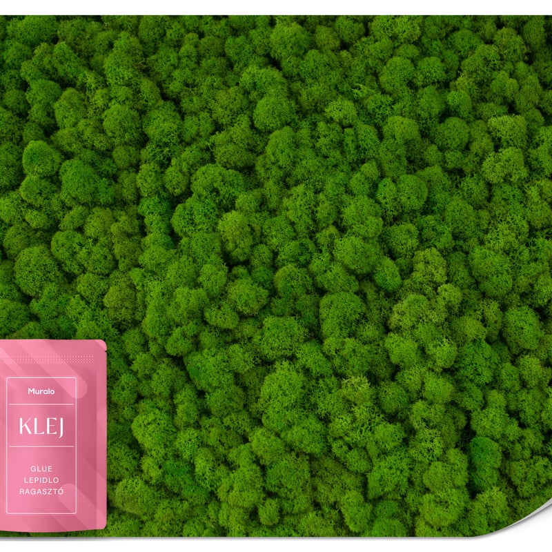 FOTOTAPETA DO SALONU JADALNI MECH OZDOBNY ROŚLINY NATURA EFEKT 3D 200x140