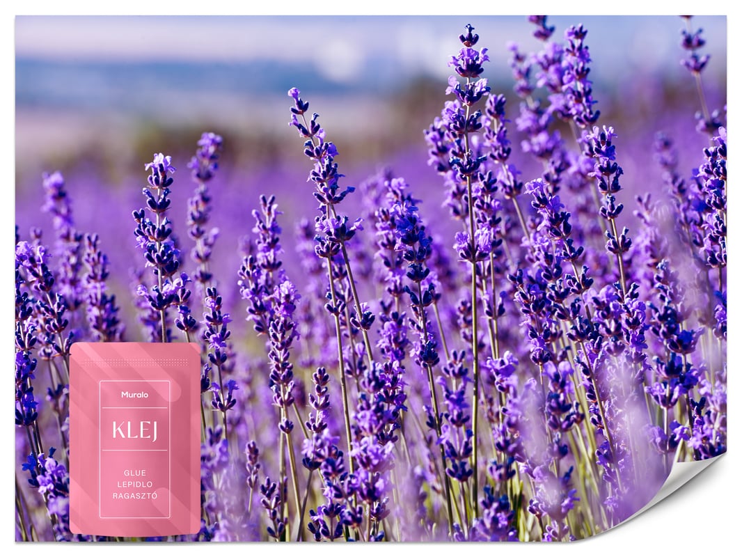 FOTOTAPETA DO SYPIALNI JADALNI POLE LAWENDY KWIATY KRAJOBRAZ 3D 150x105