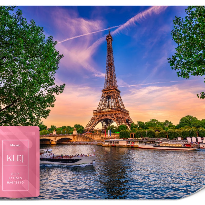 FOTOTAPETA DO SALONU JADALNI PARYŻ WIEŻA EIFFLA SEKWANA 3D PEJZAŻ 400x280