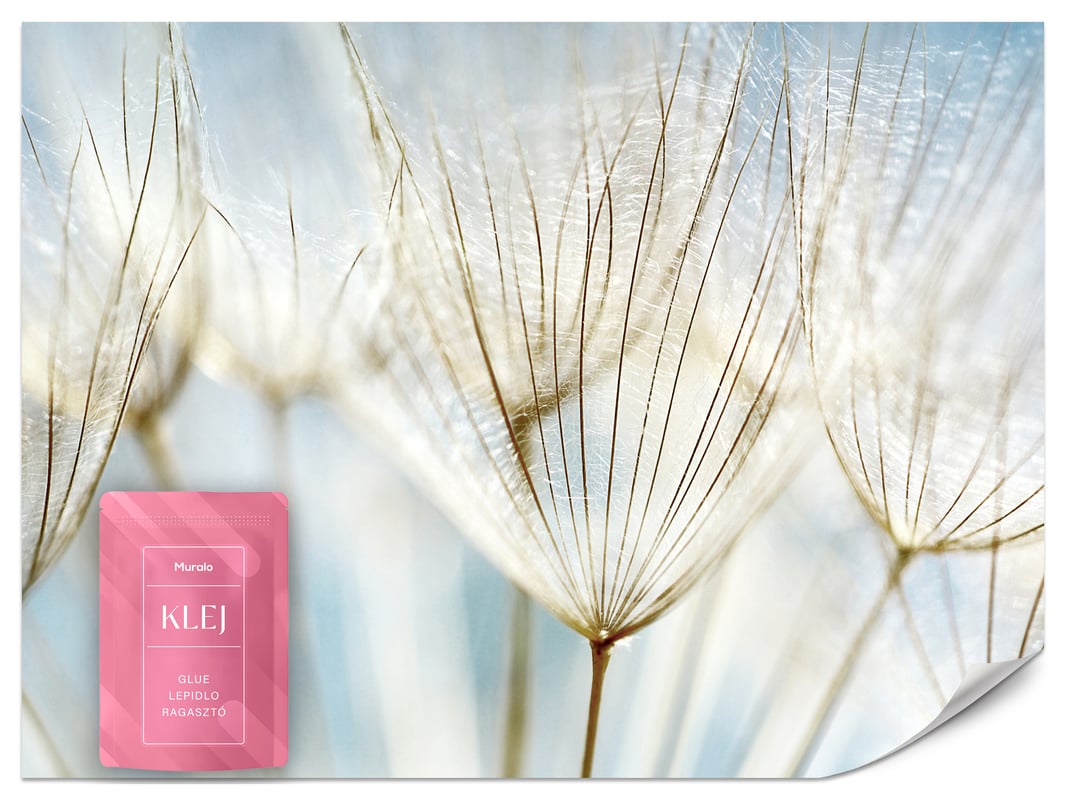 FOTOTAPETA DO SALONU SYPIALNI DMUCHAWCE KWIATY NIEBO NATURA ROŚLINY 100x70