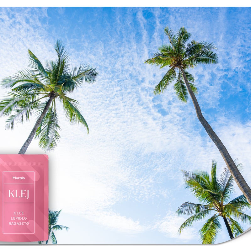 FOTOTAPETA DO SYPIALNI JADALNI KOKOSOWE PALMY TROPIKALNA WYSPA 3D 300x210