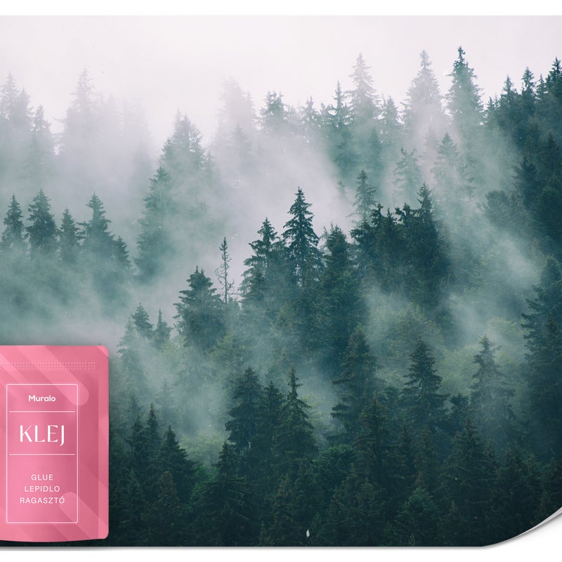 FOTOTAPETA DO SYPIALNI SALONU LAS WE MGLE KRAJOBRAZ PEJZAŻ NATURA 250x175