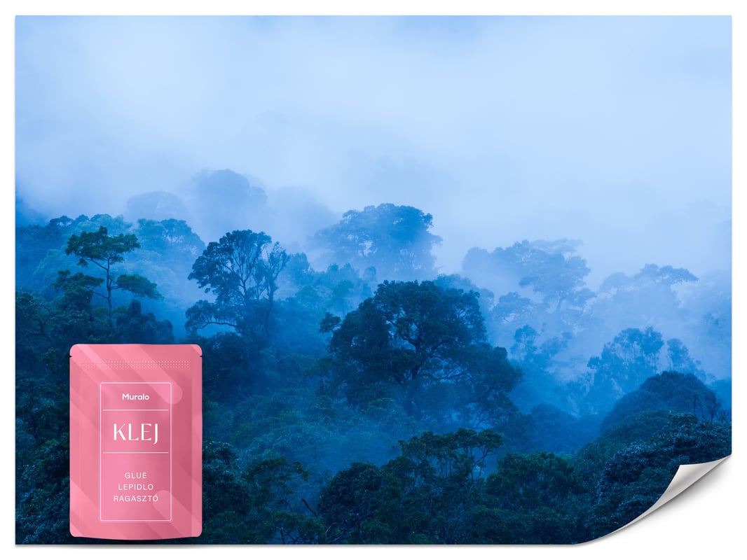 FOTOTAPETA DO SALONU LAS WE MGLE KRAJOBRAZ DRZEWA NATURA EFEKT 3D 250x175