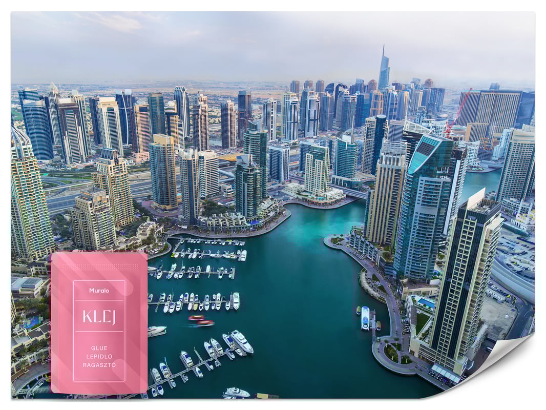 FOTOTAPETA DO BIURA MIASTO DUBAJ Z LOTU PTAKA PANORAMA EFEKT 3D 400x280